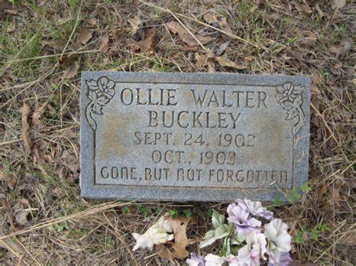 Ollie Walter